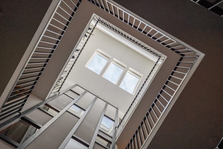 Photo 8 of Cypergras 117