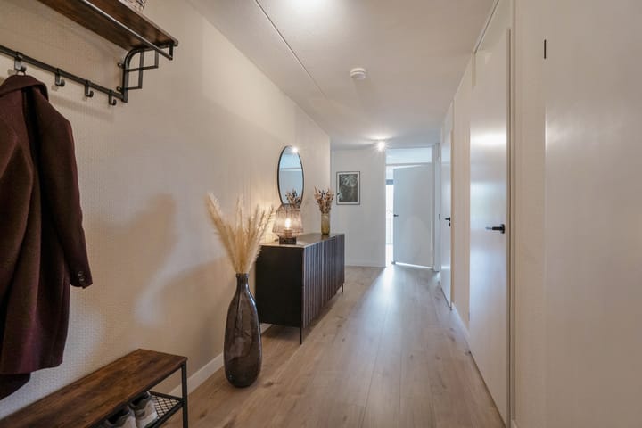 Photo 10 of Cypergras 117