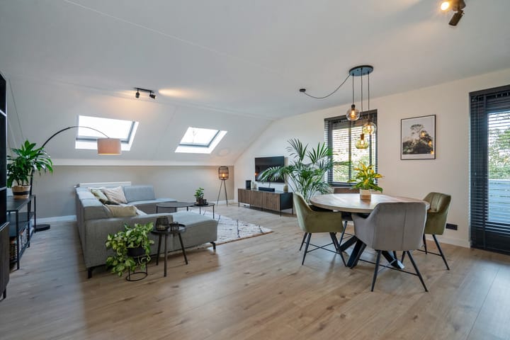 Photo 12 of Cypergras 117