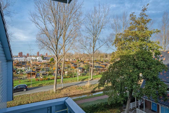 Photo 32 of Cypergras 117