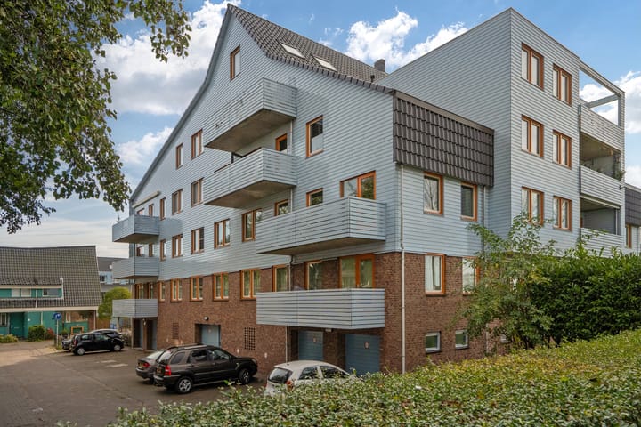 Photo 34 of Cypergras 117