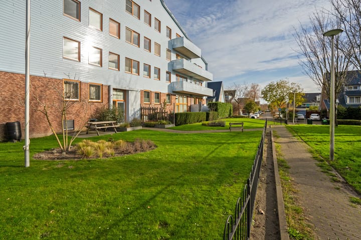 Photo 36 of Cypergras 117