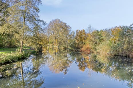 Koewei 93 tertiary image