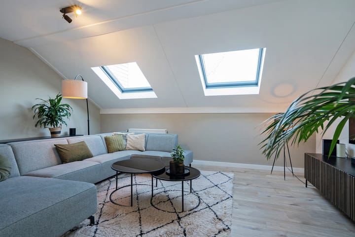 Photo 13 of Cypergras 117