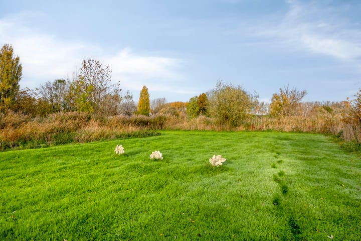 Foto 30 van Provincialeweg 23