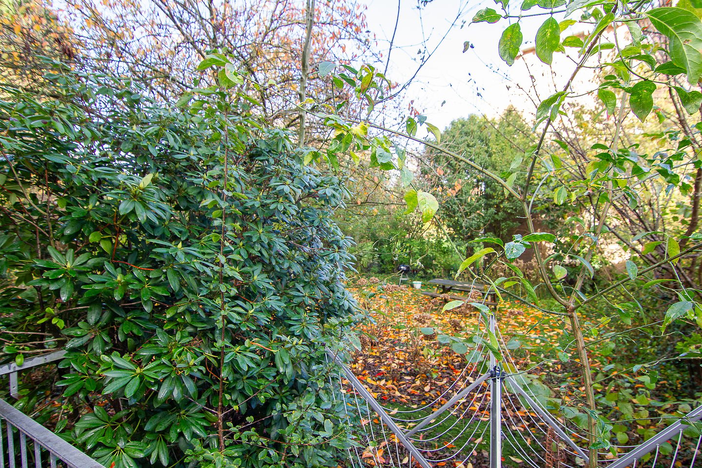 Photo 19 of Karel Doormanlaan 4
