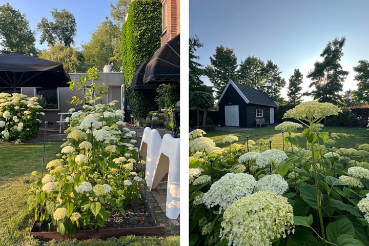 Foto 55 van Kerkweg 22