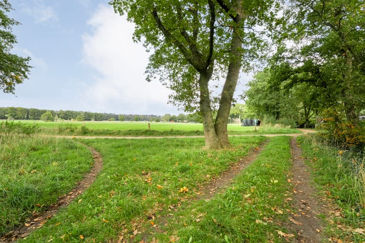 Photo 29 of Holterweg 98