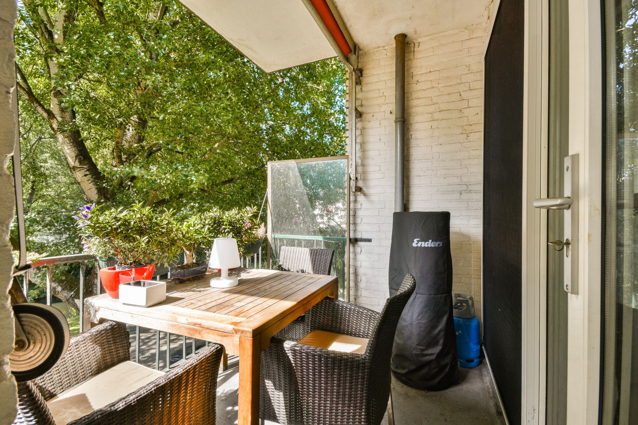 Photo 6 of Pruimenlaan 66