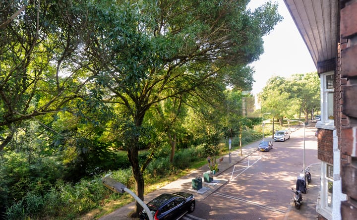 Foto 5 van Sinjeur Semeynsweg 127