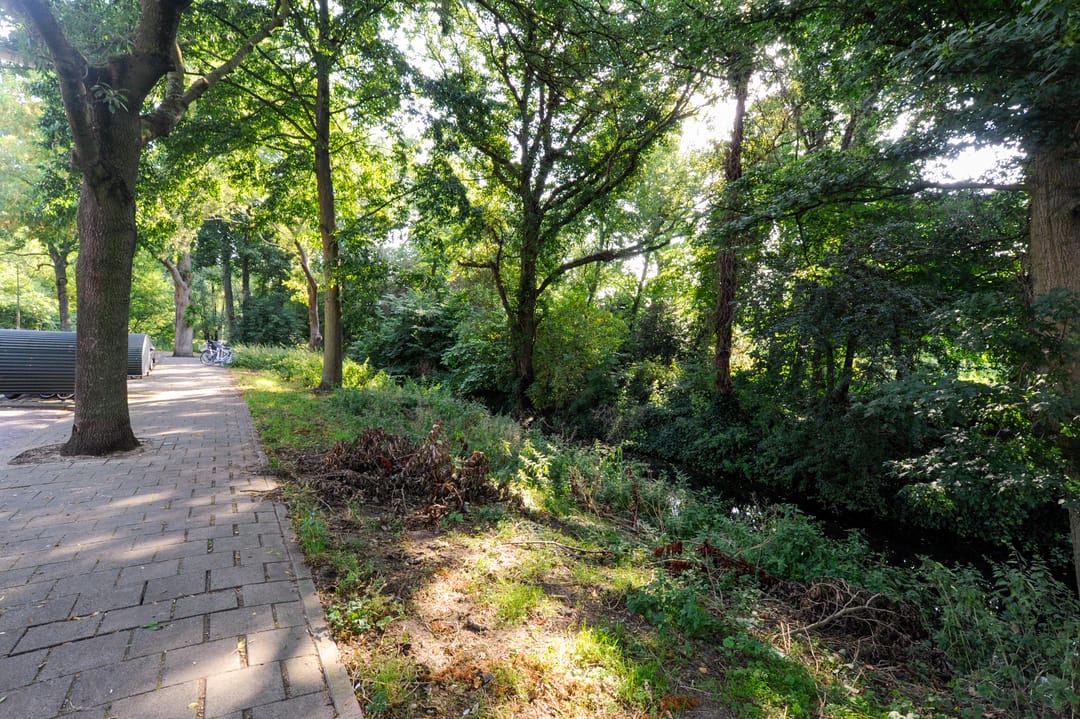 Foto 37 van Sinjeur Semeynsweg 127