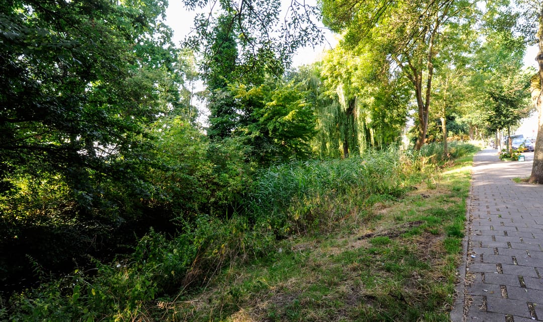 Foto 38 van Sinjeur Semeynsweg 127