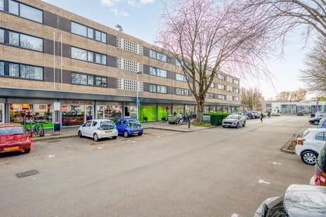 undefined main image