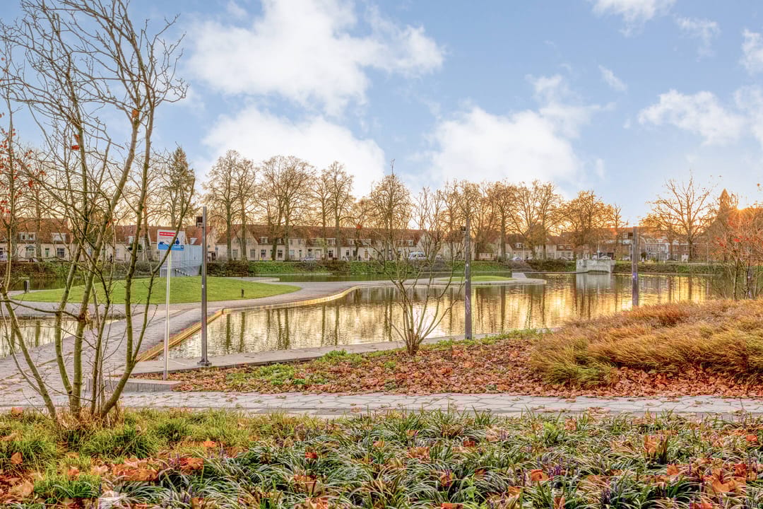 Foto 37 van Korenbloemstraat 165