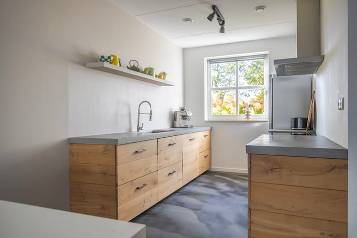 Photo 3 of Maneschijn 4