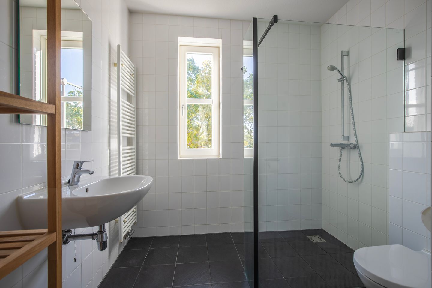 Foto 4 van Maneschijn 4