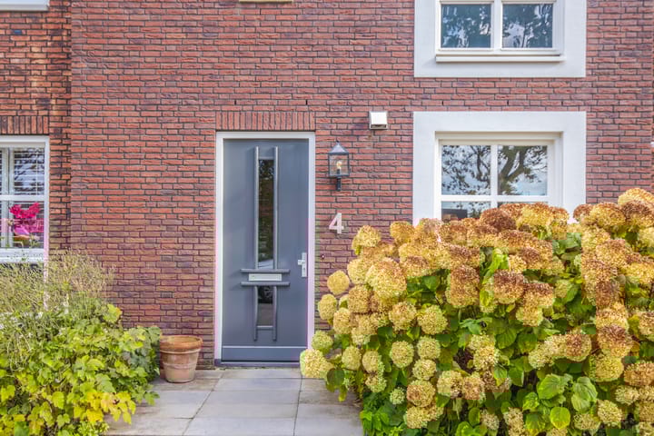 Photo 5 of Maneschijn 4