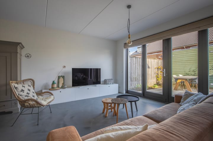 Photo 7 of Maneschijn 4