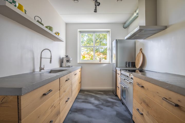 Photo 11 of Maneschijn 4