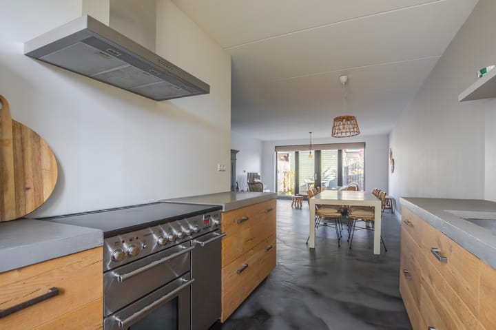 Photo 13 of Maneschijn 4