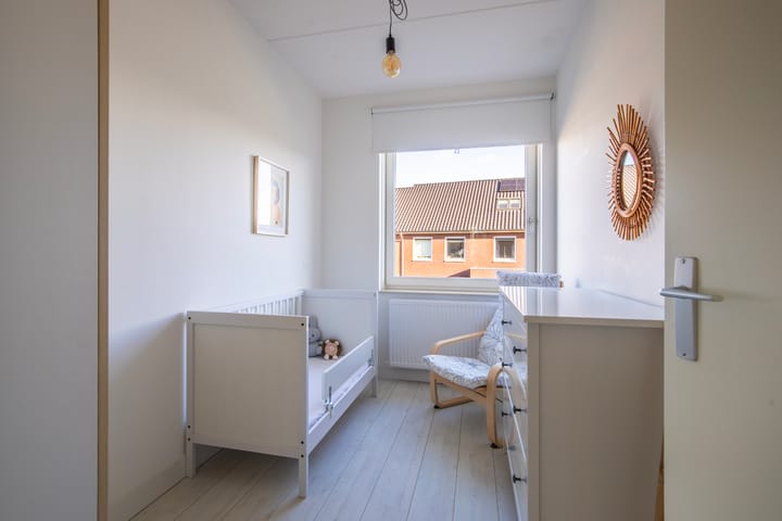 Photo 19 of Maneschijn 4