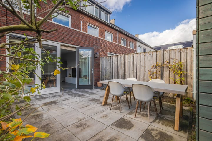 Photo 24 of Maneschijn 4