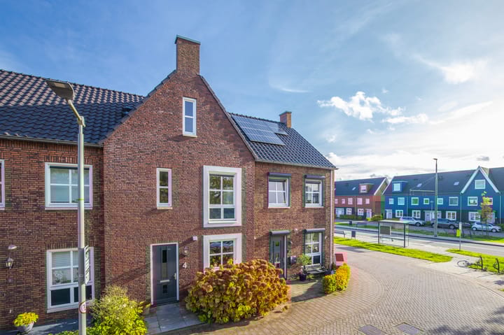 Photo 26 of Maneschijn 4