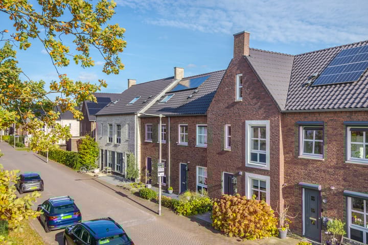 Photo 28 of Maneschijn 4