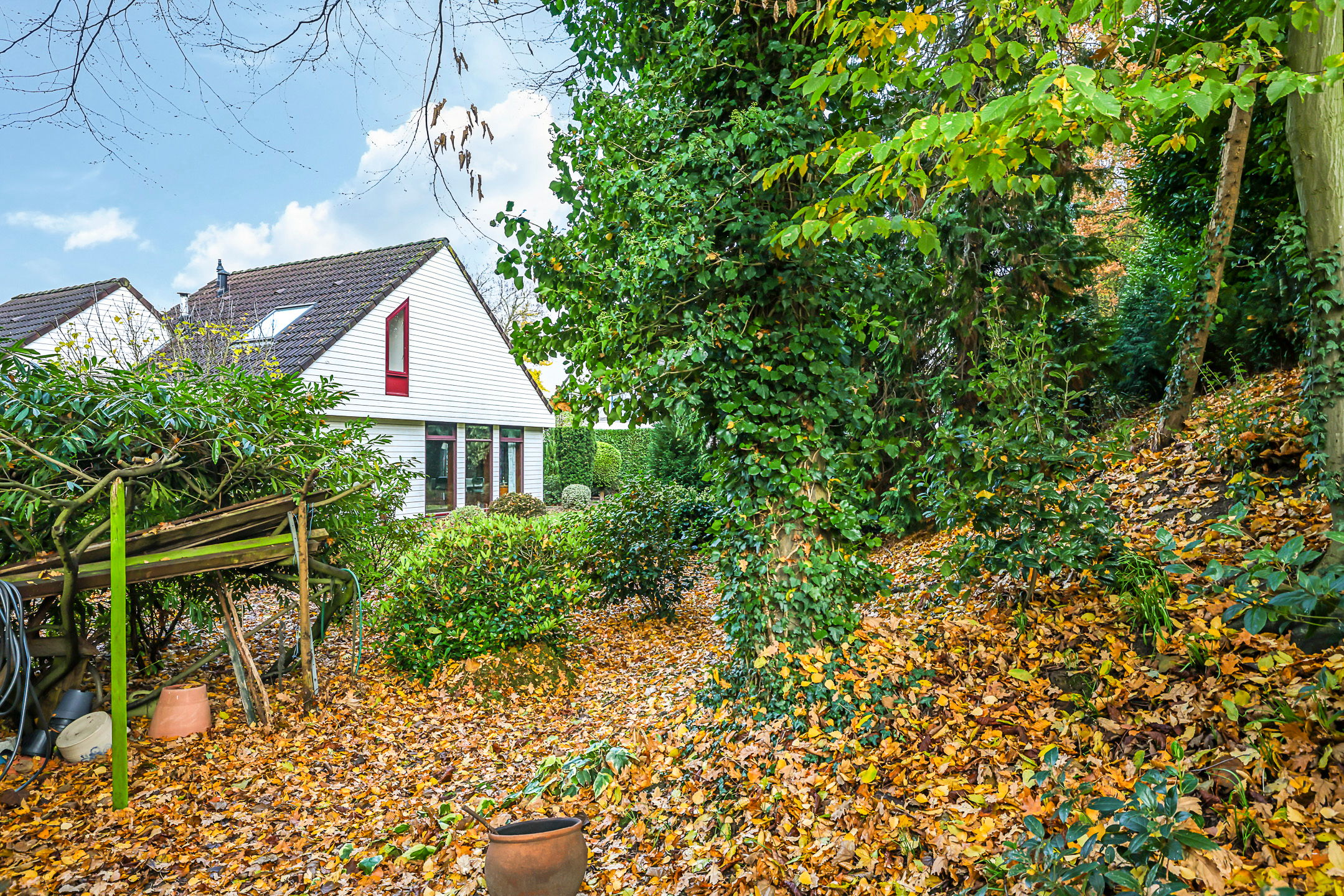 Foto 45 van De Wilgen 12