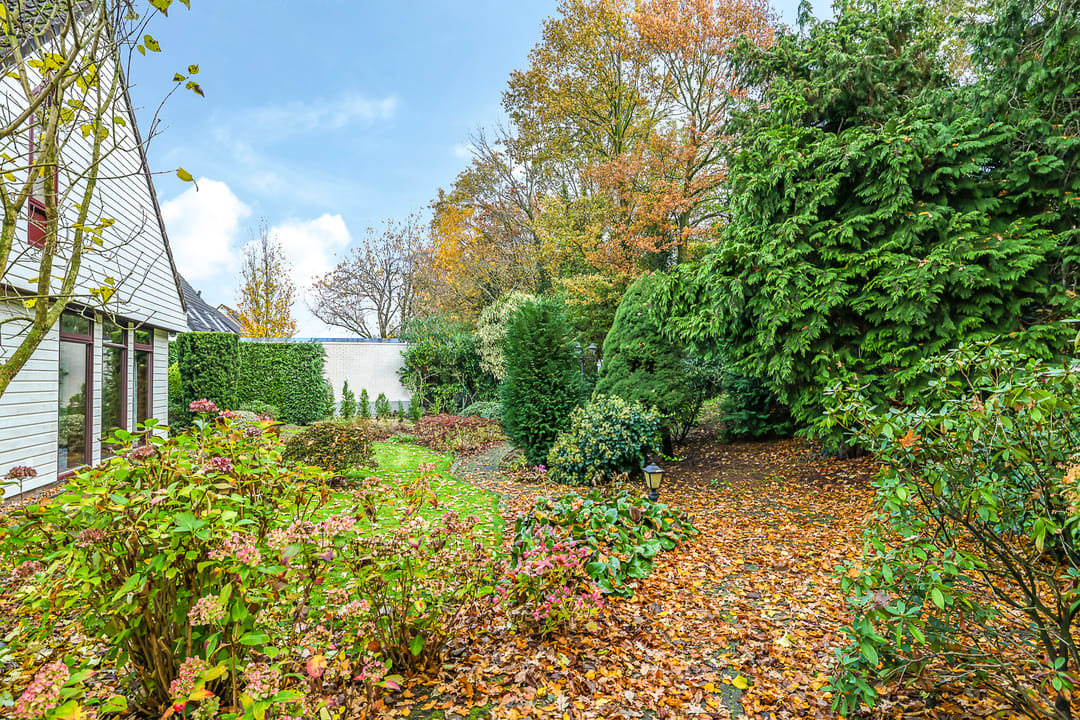 Foto 47 van De Wilgen 12