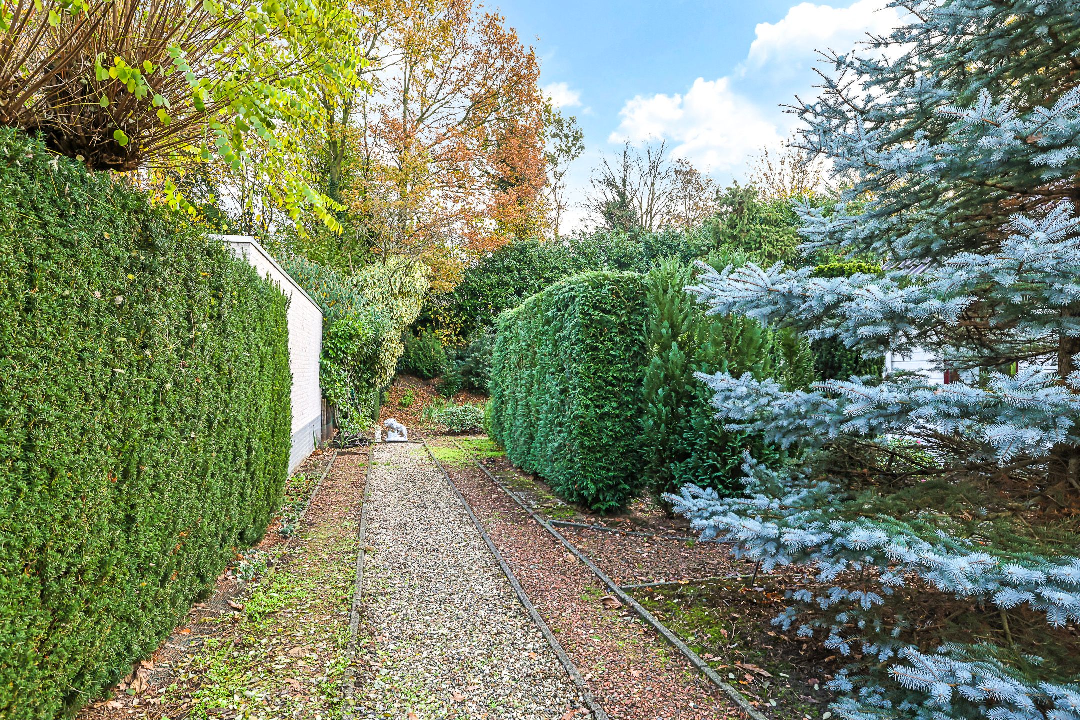 Foto 51 van De Wilgen 12