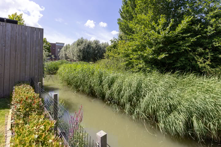 Photo 39 of John Raedeckerhof 13