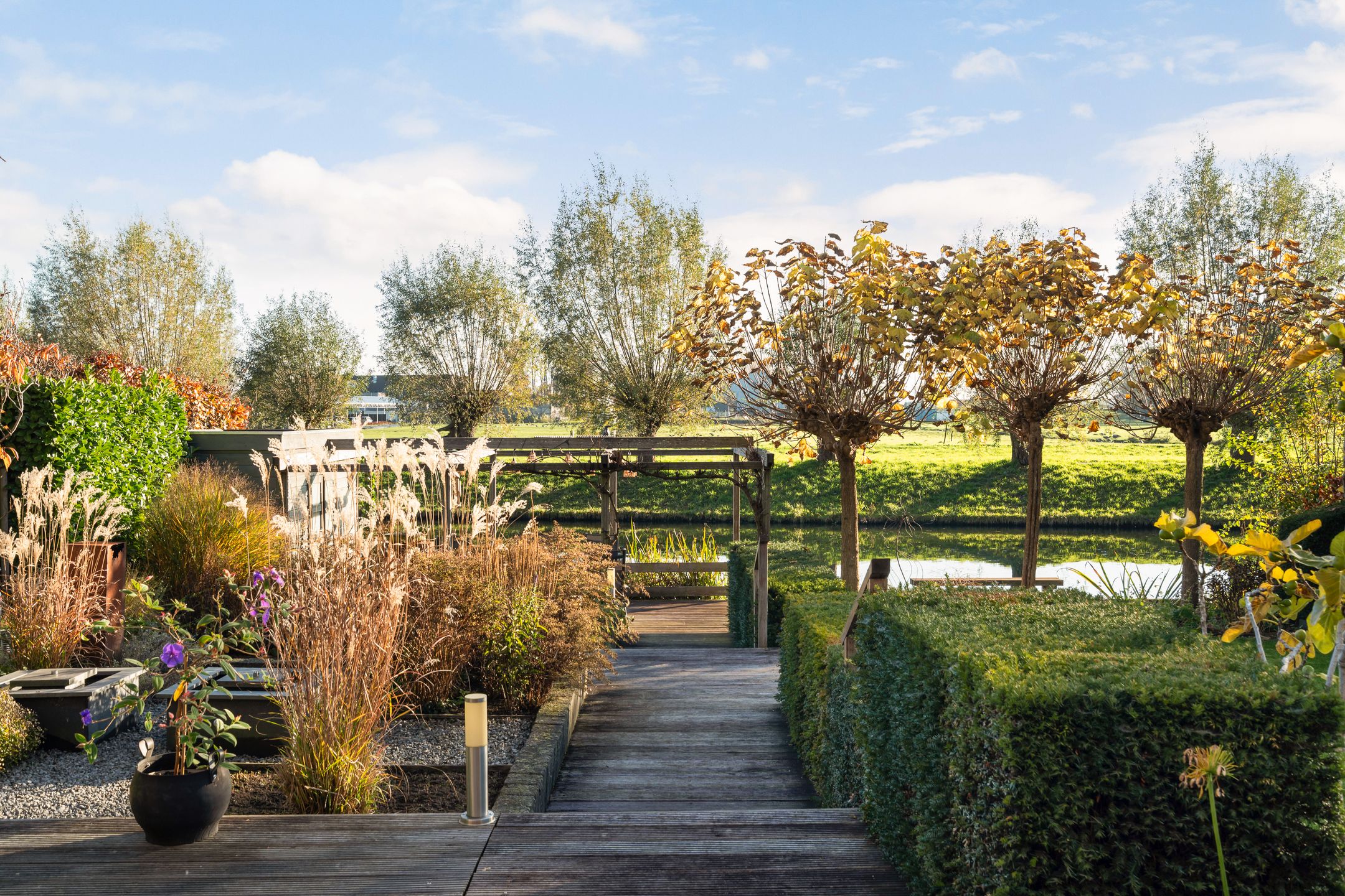 Foto 3 van Zilverberkzoom 35