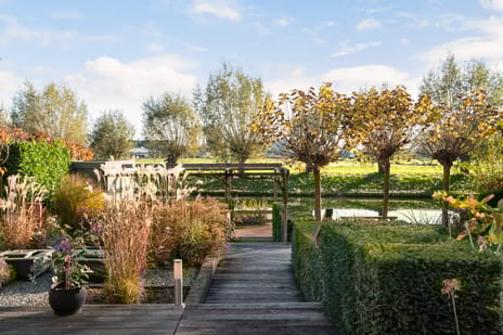 Zilverberkzoom 35 tertiary image