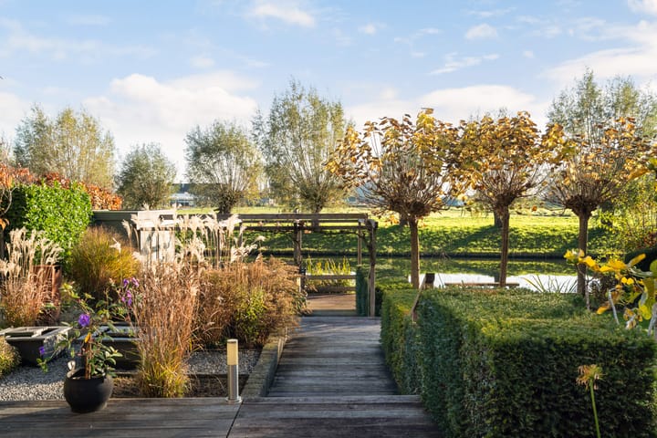 Foto 3 van Zilverberkzoom 35