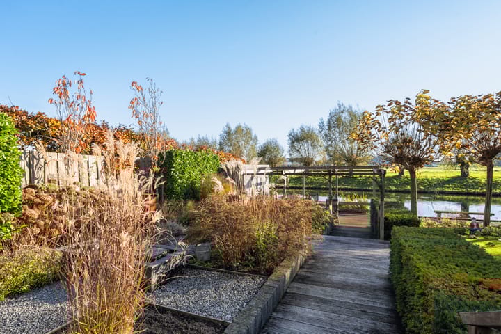 Foto 10 van Zilverberkzoom 35