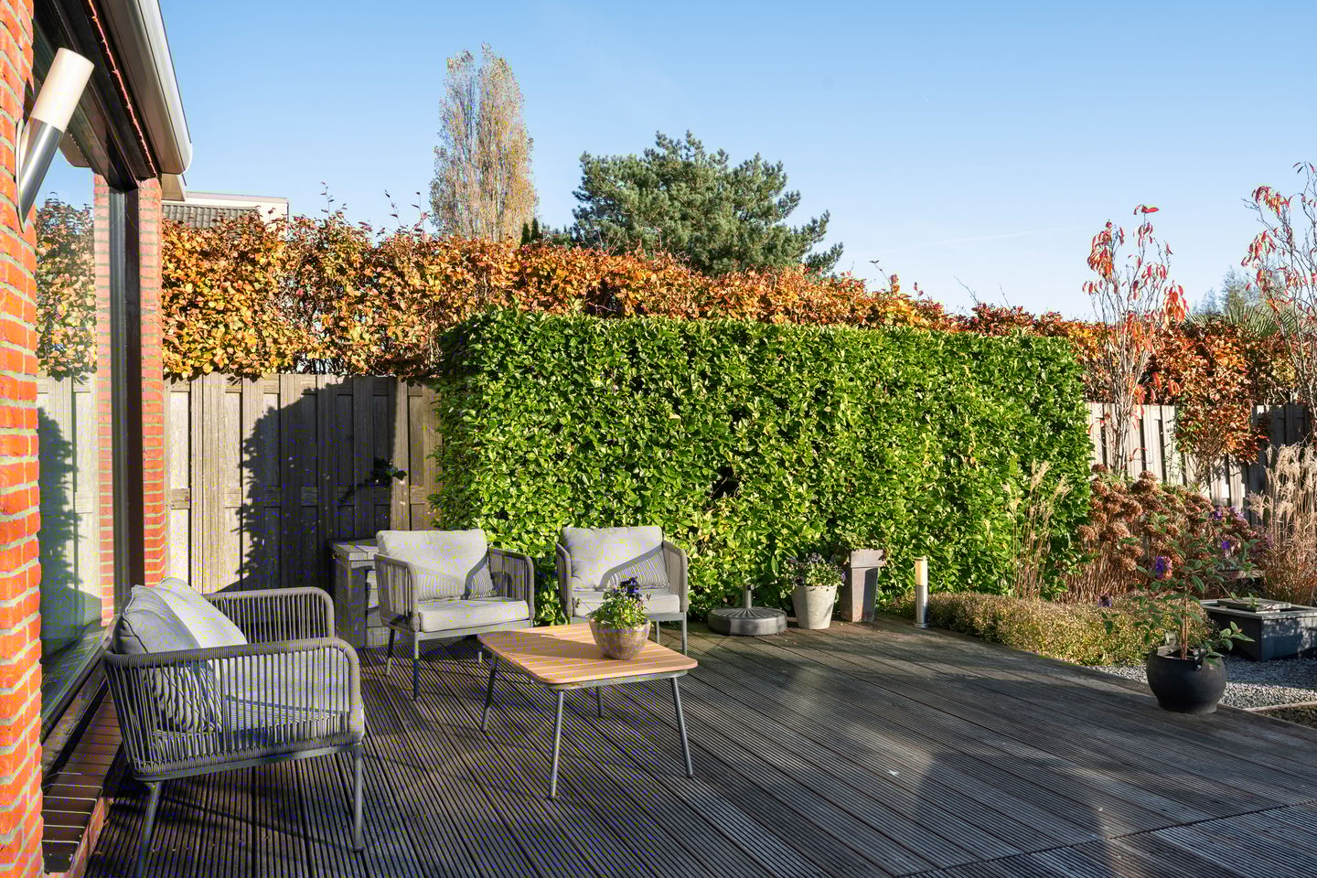 Foto 50 van Zilverberkzoom 35