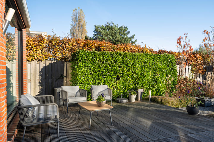 Foto 50 van Zilverberkzoom 35