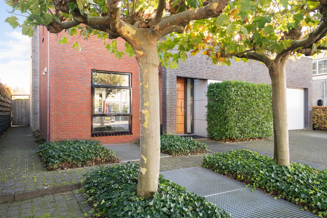 Foto 56 van Zilverberkzoom 35