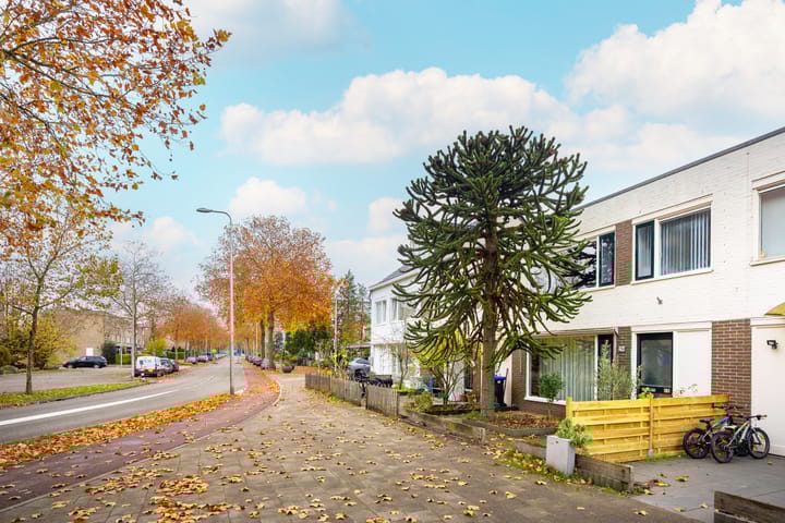 Photo 33 of Tigrisdreef 294