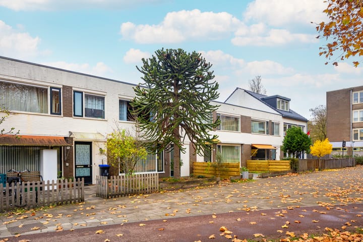 Photo 34 of Tigrisdreef 294