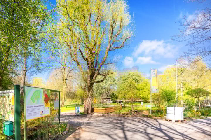 Photo 38 of Tigrisdreef 294