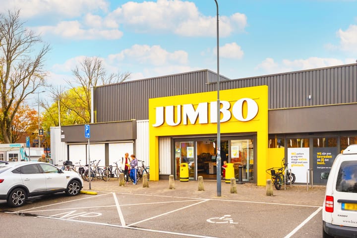 Photo 39 of Tigrisdreef 294