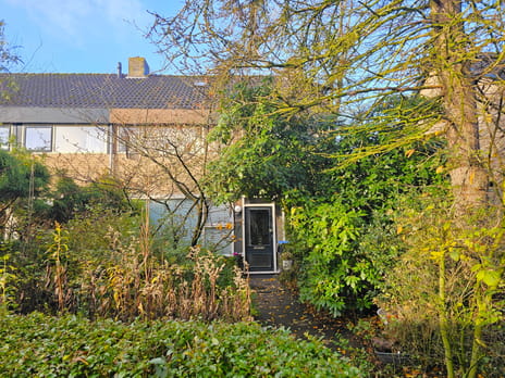 undefined main image