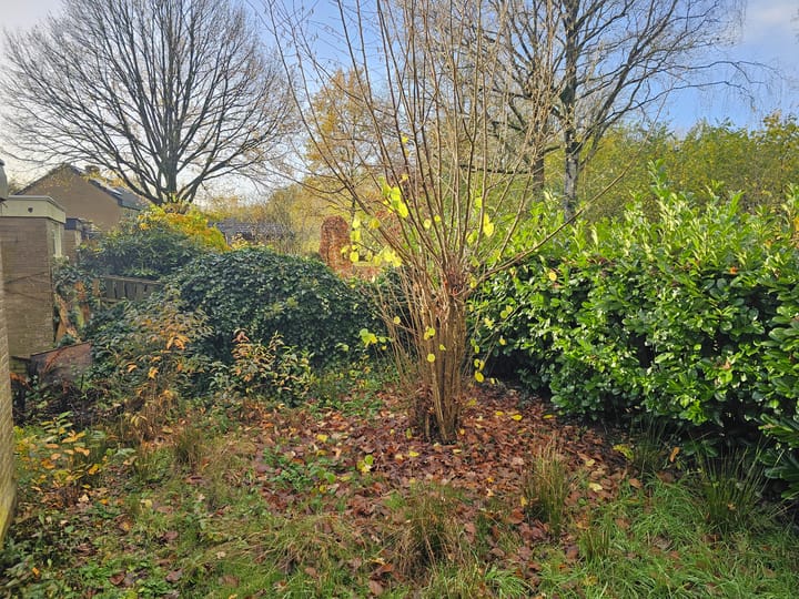 Photo 4 of Menninge 108