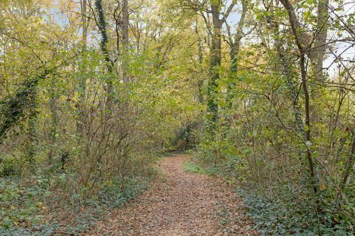 Photo 50 of Robijnring 69