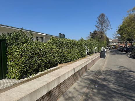 undefined main image