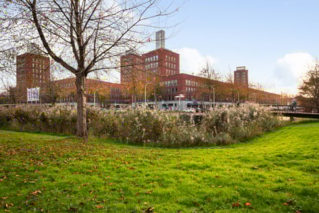 Steentijdsingel thumbnail