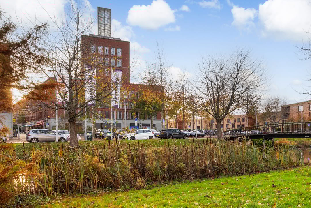 Foto 2 van Steentijdsingel 97