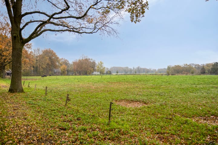 Photo 42 of Scholtinkstraat 189